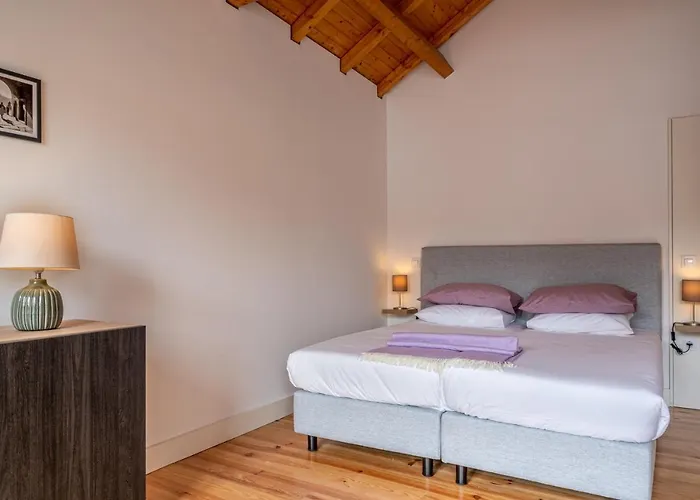 Downtown Rua Flores * Porto