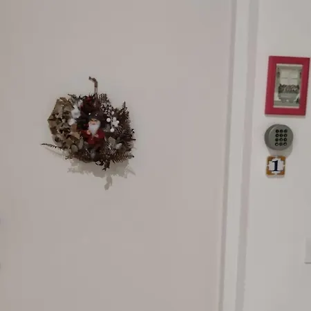 Apartament Downtown Rua Flores Porto