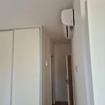 Downtown Rua Flores Appartement