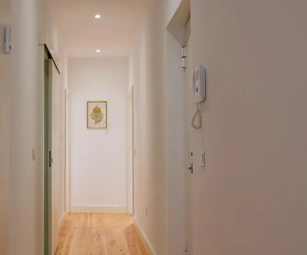 Downtown Rua Flores Appartement