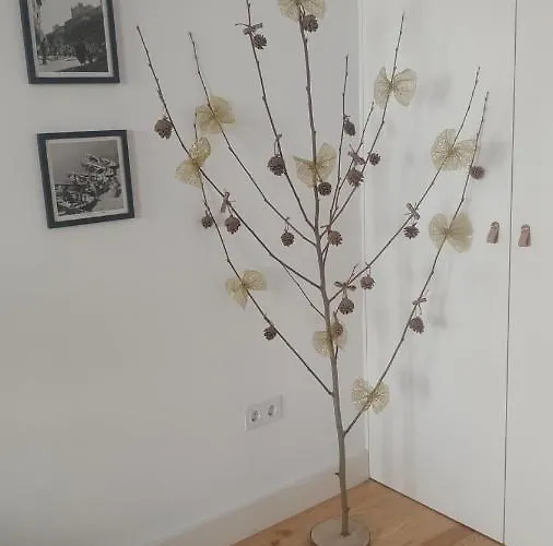 Downtown Rua Flores פורטו