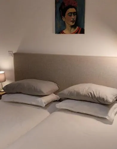 Downtown Rua Flores Appartement