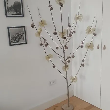 Downtown Rua Flores ポルト