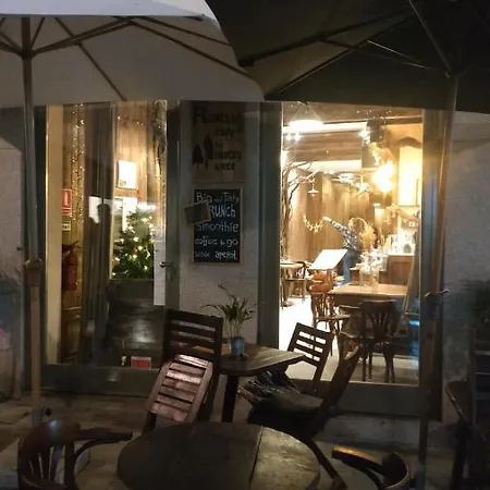 Downtown Rua Flores 公寓 *